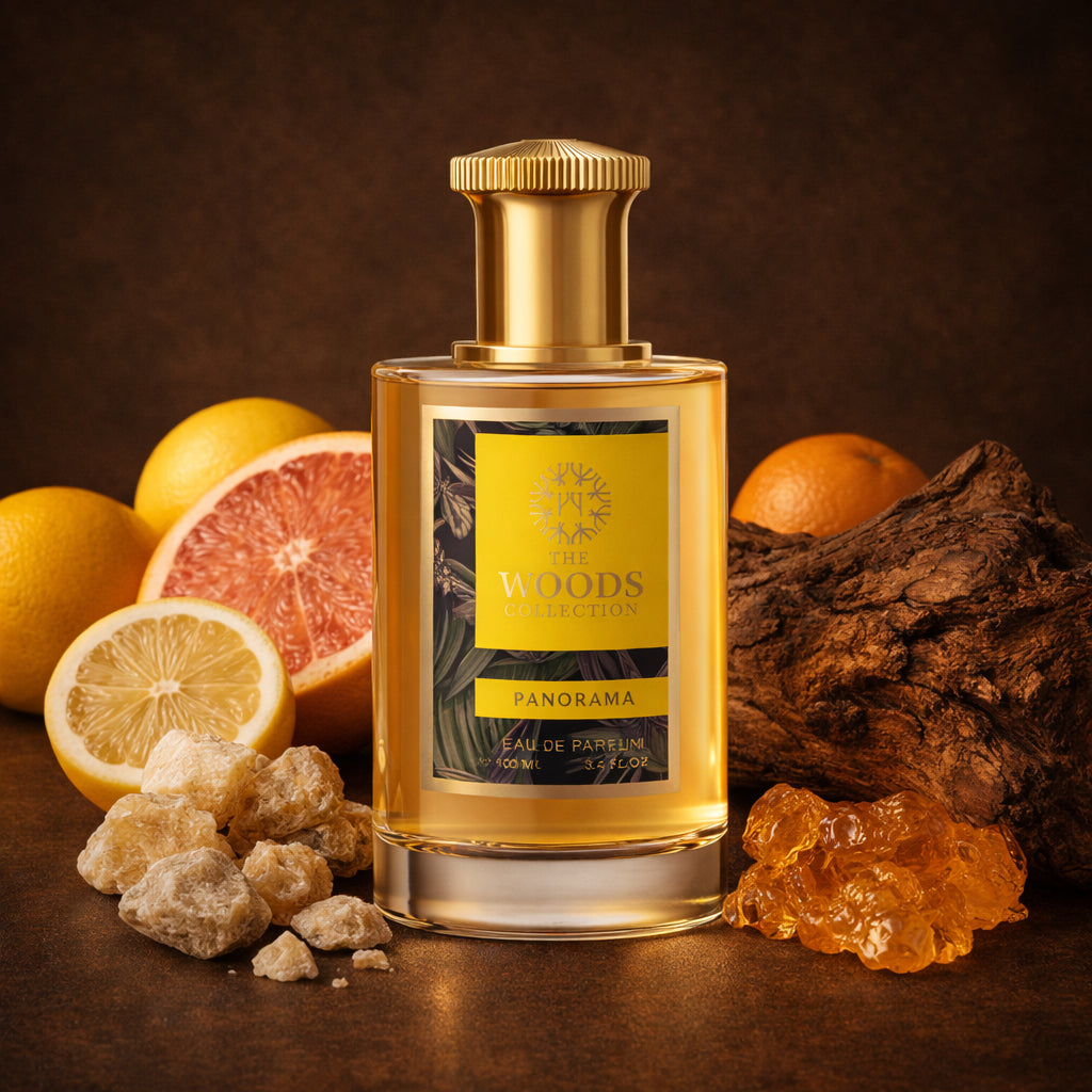Panorama EDP