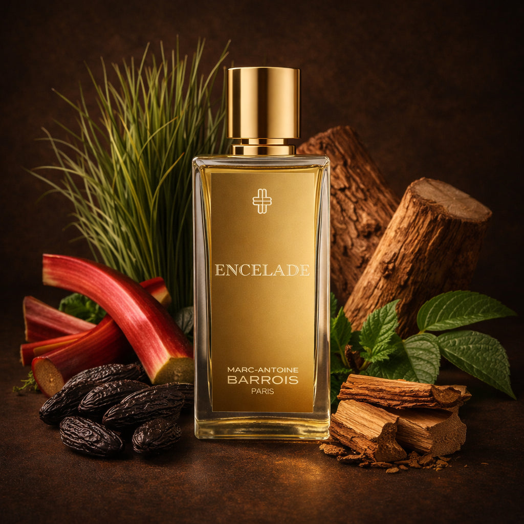 Encelade EDP