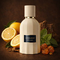 Amouage Outlands Essence de Parfum 100ML