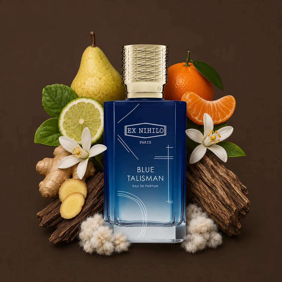 Blue Talisman