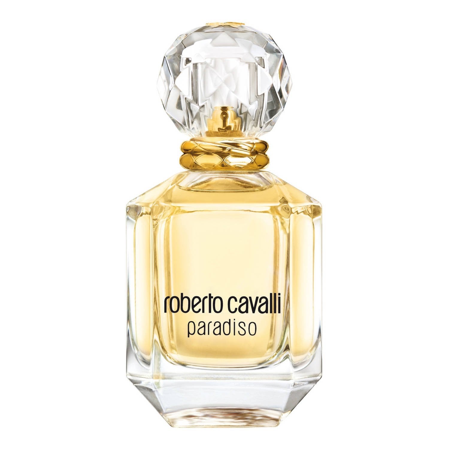 Roberto Cavalli Paradiso
