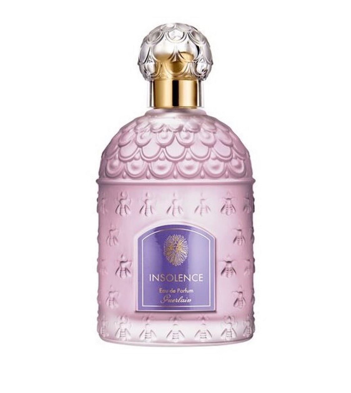Insolence EDP