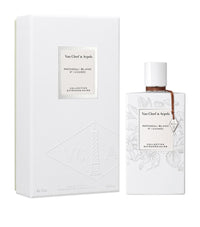 ماء عطر الباتشولي الأبيض